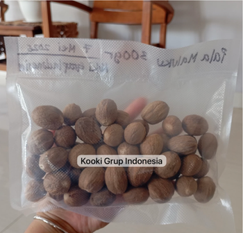 Indonesian Whole Nutmeg – Export Quality, Premium Grade, Bulk Supply from PT Kooki Grup Indonesia Indonesian Whole Nutmeg – Export Quality, Premium Grade, Bulk Supply - PT Kooki Grup Indonesia - Indonesia
