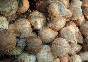 Husked Coconut – product photo, De-husked Coconut products found from trusted suppliers, wholesalers, manufacturers & exporters Listing