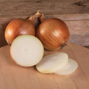 Yellow-skinned Onions Color Yellow Storage Type New Crop Grade Premium quality Packaging 5Kg/10Kg/25Kg Mesh Bag/Carton/Customized - FIN ALAMAK  - Russian Federation