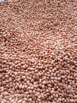 Groundnut/Peanut from BUAMS VENTURE Groundnut/Peanut – product photo, Peanut products found from trusted suppliers, wholesalers, manufacturers & exporters Listing