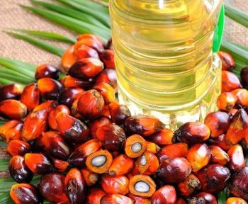 Refined Palm olein - BF GLOBAL TRADING (PTY) LTD - South Africa
