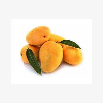 Exporter wholesale bulk fruit pulp frozen carabao mango with best price - Medcompex Gmbh - United Kingdom
