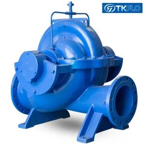 Horizontal Double Suction Split Casing Centrifugal Pump for Clean Water Supply - Shanghai Tongke Flow Technology Co., Ltd. - China