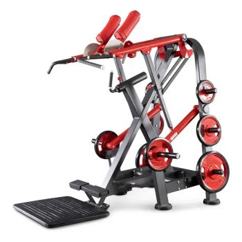 Aon-Fitness Viking Press and Calf Exercise Plate Loaded Machines Gym Equipment - Shandong Aoneng Sports Equipment Co., Ltd. - China