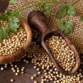 Premium Coriander Seeds - Safe Row Exim - India