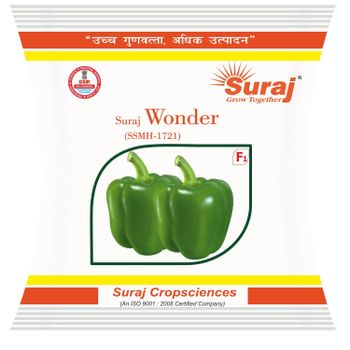 All type of vegetable seeds - Suraj Cropsciences Ltd - India