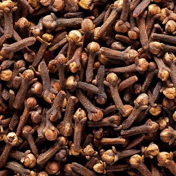 100% Natural Dried Cooking Spices Dried Cloves Whole Clove Dry Clove - EcoRoma GmbH - Germany