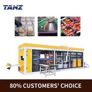 Precision Thermoforming Making Machine for Eco-Friendly Clamshell Packages - Dongguan Taizhang Machinery Co., Ltd. - China