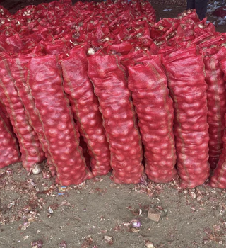Onion - Chaitanya Enterprise - India