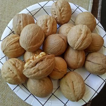 Organic Walnuts Raw Shelled Available for Wholesale from SAEBYGARD AVLSGARD A/S Organic Walnuts Raw Shelled Available for Wholesale - SAEBYGARD AVLSGARD A/S - Denmark