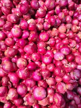 Red Onions from Sree Lasya Traders EXIM Red Onions - Sree Lasya Traders EXIM - India