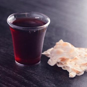 Plastic free wine glasses 200 ml transparent 100 pcs - EKOE COOP STOVIGLIE COMPOSTABILI - Italy