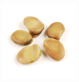 Organic 100% Natural Fresh Dried Broad Beans Mocha Edible Pearls Horse Beans 5kg South Africa 24 Months Shelf Life - Balingi Trading Company (PTY) Ltd - South Africa