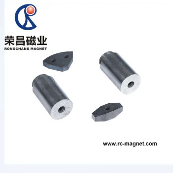 Customized Rare Earth Cylinder AlNiCo Magnet with High Coercivity - Zhejiang Rongxin Magnet Co., Ltd. - China