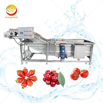 Vegetable Bubble Clean Equipment Wild Blueberry Tomato Process Ultrasonic Fruit and Vegetable Wash Machine - Henan Orange Industry Co., Ltd. - China