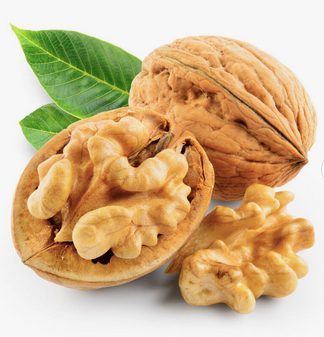Walnut Kernel / Walnuts Wholesale In Bulk at Cheap Prices.Wholesale lower price walnut kernel ceviz kernel from thin-skin walnut - Almaa SCS - Belgium