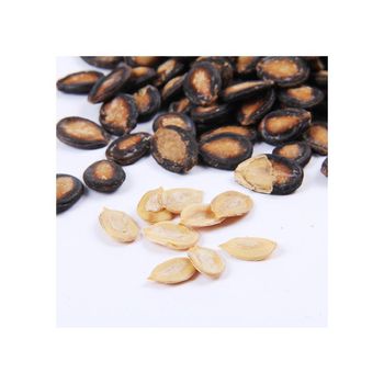 Bulk watermelon seeds available for wholesale buyers and suppliers from AFRIVET TRADING SERVICES Bulk watermelon seeds available for wholesale buyers and suppliers - AFRIVET TRADING SERVICES - South Africa