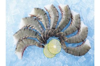 Black Tiger Shrimp HLSO - AGOFISH - Vietnam