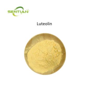 High Purity Luteolin 98% CAS 491-70-3 Anti Virus Luteolin MOQ 1kg Stock / Form Powder CAS 491-70-3 Sale on Sale State - Xi'an Sentian Biotechnology Co., Ltd. - China