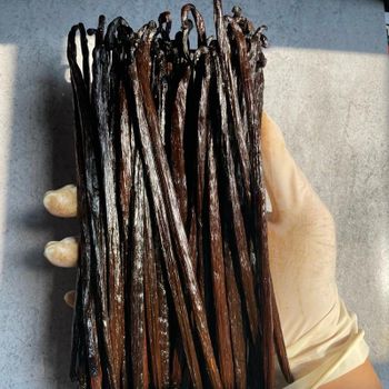 vanilla beans Gourmet Planifolia – product photo, Dried Vanilla Beans products found from trusted suppliers, wholesalers, manufacturers & exporters Listing