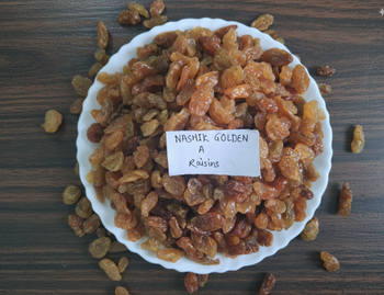 Golden Raisin - Sham Gangurde  - India