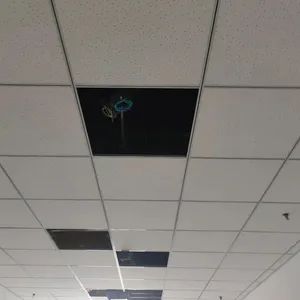 Building Material Mineral Fireproof & Sound Absorbing Ceiling Tiles for National Engineering - Shandong Ameston Building Materials Co., Ltd - China