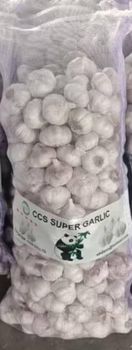 Garlic, Onion, Ginger, Fresh Potato, Apple, carrot, fruits, Origin Shandong, China Product Types Garlic, Potato, Onion, Grape, Vegetables, Ginger, Apple - Jining commercial commodity & services import  - export  Co;Ltd - China