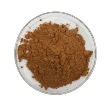 Herbal Medcine Grifola Frondosa Maitake Mushroom Extract Origin China State Powder Model NO. 20% Trademark Qherb Specification - Xuancheng Quality Herb Co., Ltd. - China