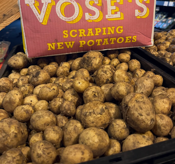Top Rated Russet Potatoes For French fries, baking, mash Potatoes 25Kg Mesh Bags High Quality Russet Potatoes - Sosa Merchant Solutions - Austria