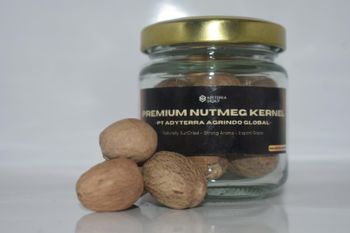 Whole Nutmeg, Nutmeg Kernel, Nutmeg Without Shell, Premium Indonesian Spices, Premium Spices Export, Bulk Nutmeg Supplier - PT ADYTERRA AGRINDO GLOBAL - Indonesia