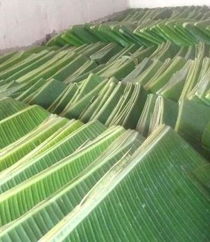 Banana Leaf - PT Javara Natural Indo - Indonesia