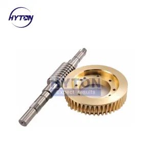 Customized High Hardness and Wear-Resistant Worm Gear Transmission Gear and Worm - Jiangsu Hyton Mechanical Equipment Co., Ltd. - China