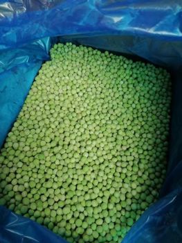 IQF green pea from shandong Hiking international commerce group co.,ltd IQF green pea - shandong Hiking international commerce group co.,ltd - China