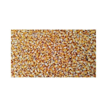 Yellow maize available in bulk for global food and feed industries - MASI TRADING GMBH - Germany