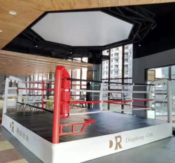2021 Boxing Equipment Training Factory with Custom Logo Printed Floor Boxing Ring - Dezhou Bodi Fitness Equipment Co., Ltd. - China
