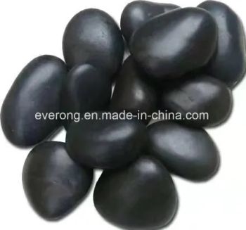 Oversize Natural Landscaping River Stone Pebbles with Multicolor for Paving/Garden Yard - Xiamen Everong Industry&Trade Co., Ltd. - China