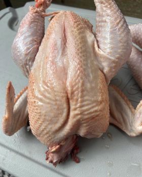 Fresh Frozen Chicken Whole and Cuts Halal Poultry Meat Supplier Export Quality - PLANETE COMMERCE - France