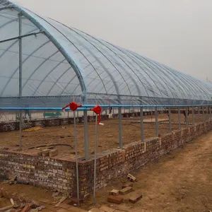 Steel Shed Glass Garden Plants Fruits/Vegetable Film Agricultural Low Cost Green House for Sale - Sichuan Tiga Agriculture Co., Ltd. - China
