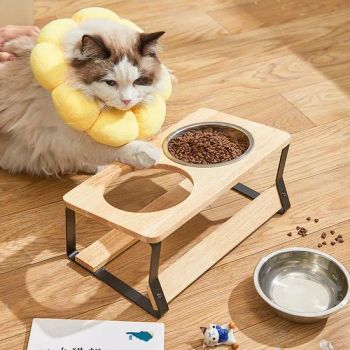 Stainless Steel Pet Food Feeding Bowls for Dogs, Cats and Small Animals - Chaozhou Jinbole Stainless Steel Products Co., Ltd. - China