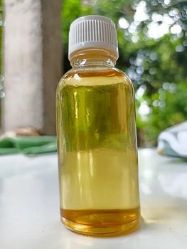 Bolivian Amazonian Cusi Oil – Cold Pressed (Attalea Phalerata Seed Oil) - SHEXPORT INTERNATIONAL LLC - Bolivia, Plurinational State of