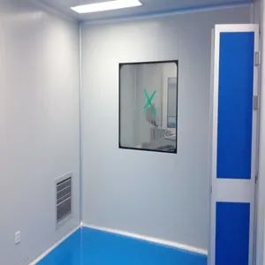 Customized Food Sterile Purification Workshop Engineering Design Dust-Free Workshop Engineering Clean Laboratory Plant - Qingdao Wise Link International Co., Ltd - China