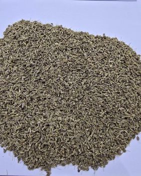 anise Aroma Rich And Warm Form Seeds And Essential Oils Source Trusted Growers And Suppliers Flavor Profile Sweet With Aromatic - white herbes - Egypt