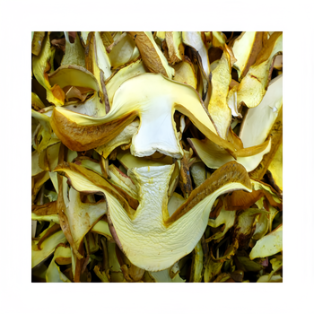 High Quality Dried boletus Edulis mushrooms Natural Organic Butter mushrooms Porcini Mushroom - Yunnan Jun Wang Xuan Trading Co., Ltd. - China