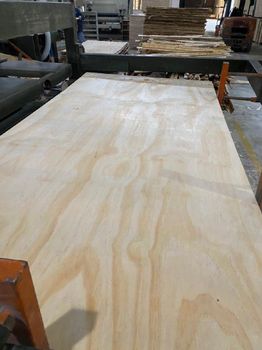 Pine Plywood 1220mm x 2440mm 5mm - 25mm - MAXSON COMPANY LIMITED - Vietnam