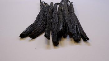 Vanilla Beans AAA 18 cm - from Mexico - Chasseurs de Saveurs - Mexico