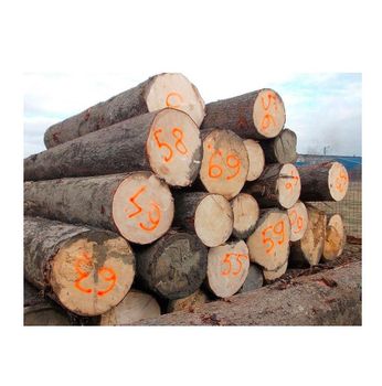 Spruce Wood Logs - High-Quality Timber for Sawmills and Wood Industries - Exigentelaxia Unipessoal Lda - Portugal