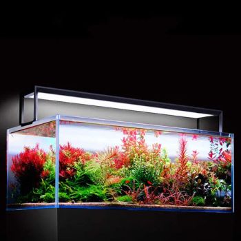 Netlea Aquarium Lights RGB Aquarium Lamp Fish Tank Light - Bests Industrial and Trading Co., Ltd - China