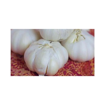 Best Quality Fresh Peeled Garlic For Sale In Cheap Price - HIGHPROFILE AGRICULTURE SERVICES LIMITED - Tanzania