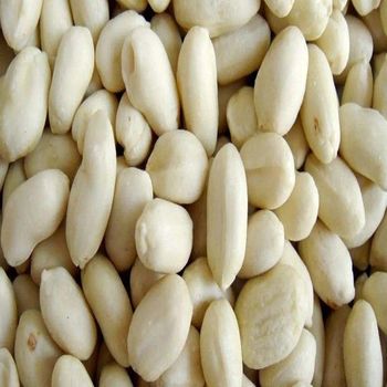Bulk Raw Pure Blanched Sun Dried Peanuts Food Grade for Wholesale Market Natural Packed for Bulk Processing - TRADECENTRIC LLC - United States