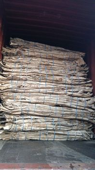Dry cow hide from Amazyns International Dry cow hide - Amazyns International - India